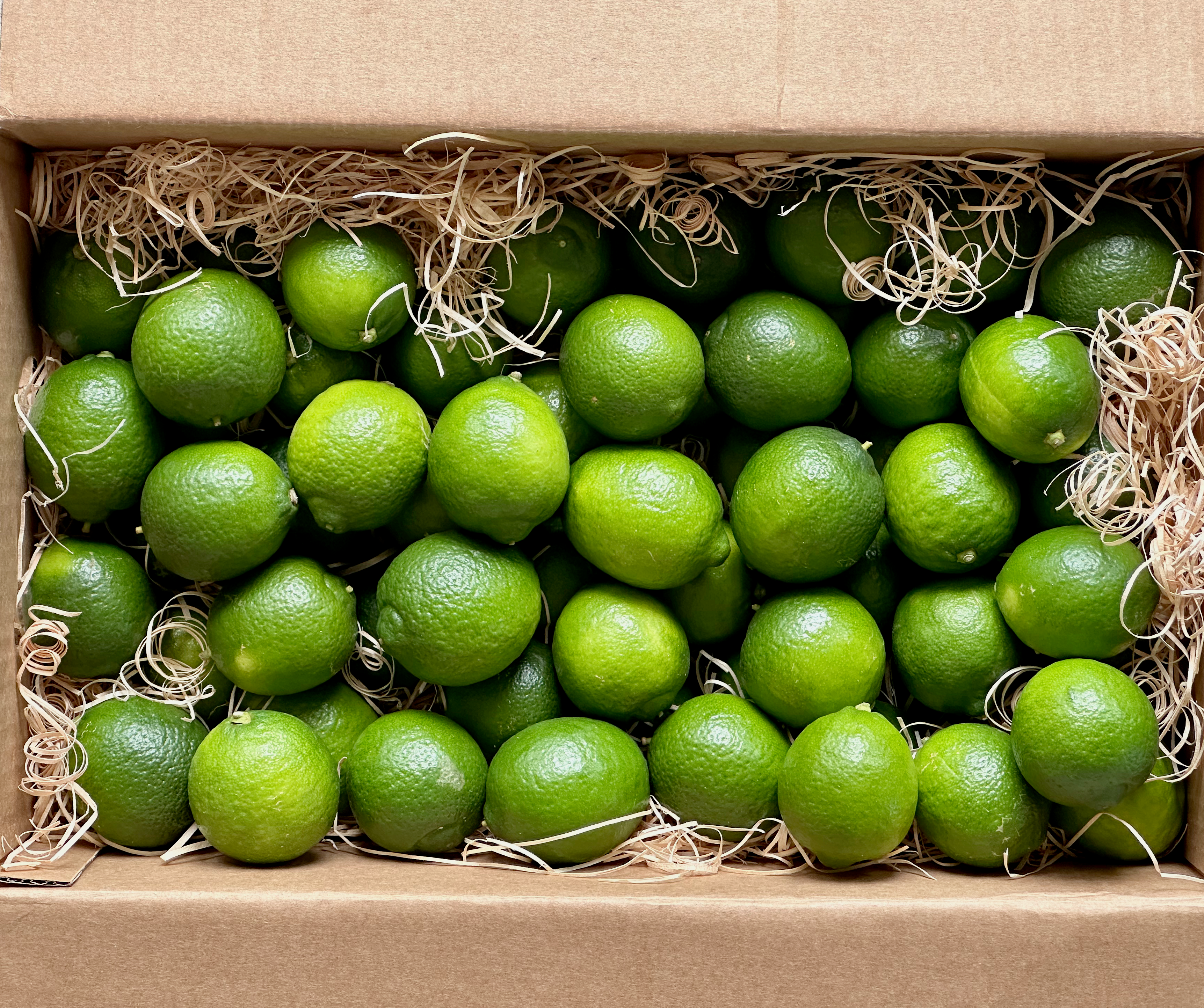 Lime Box – Totara Road